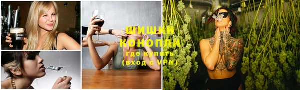 бошки Новодвинск